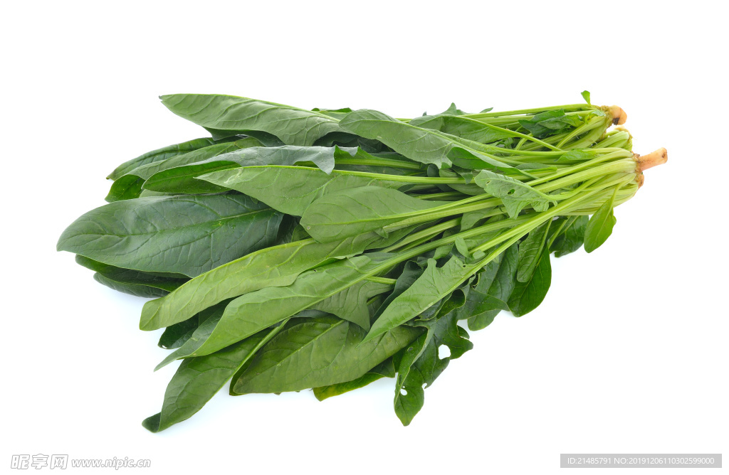 波菜