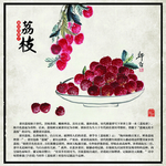 莆田 四大 水果 文旦柚 介绍