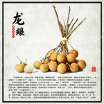 莆田 四大 水果 文旦柚 介绍