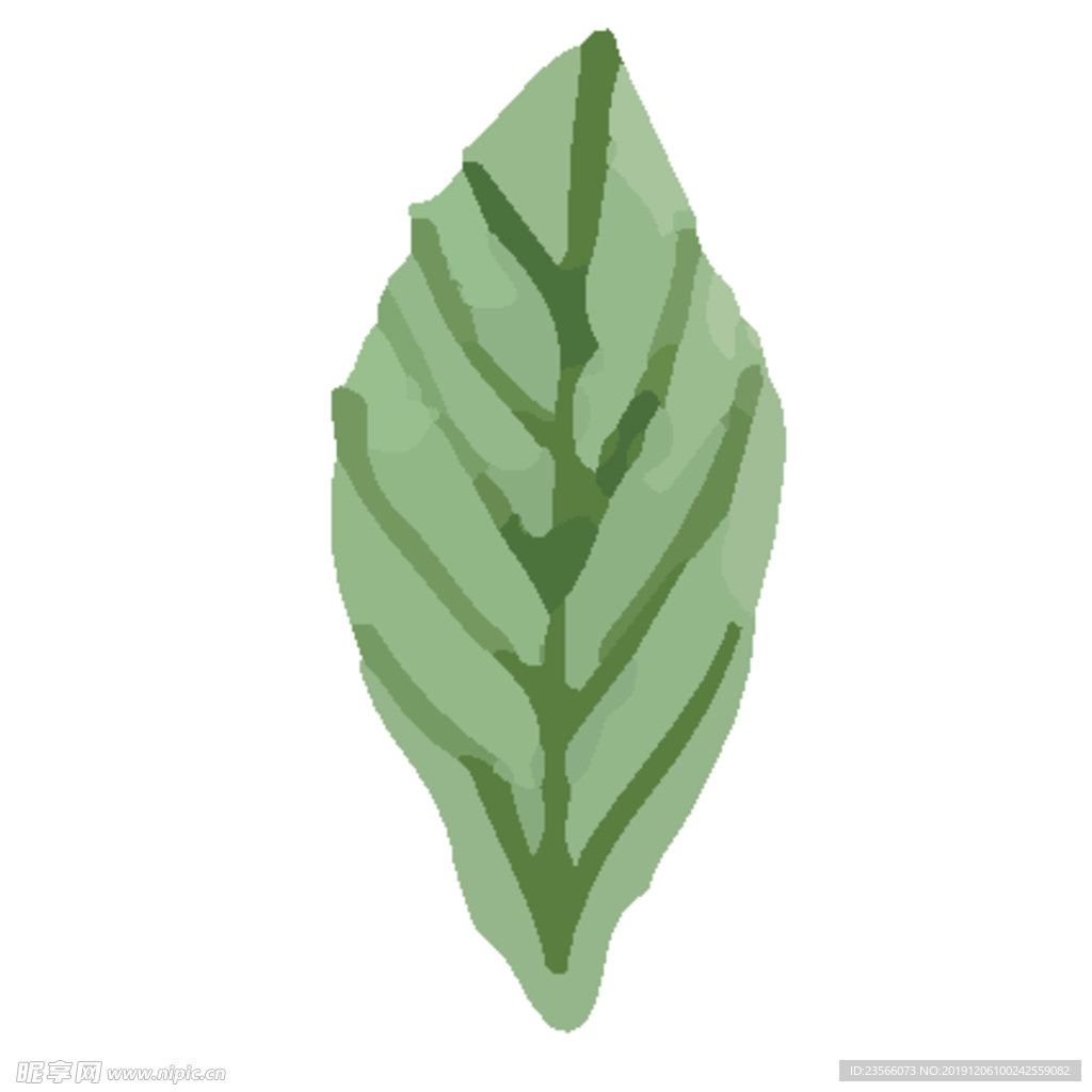 绿色水彩植物树叶