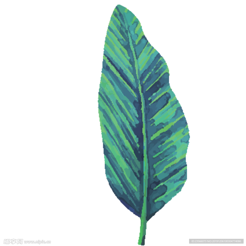 绿色水彩植物树叶