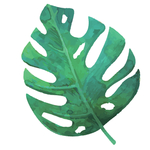 绿色水彩植物树叶