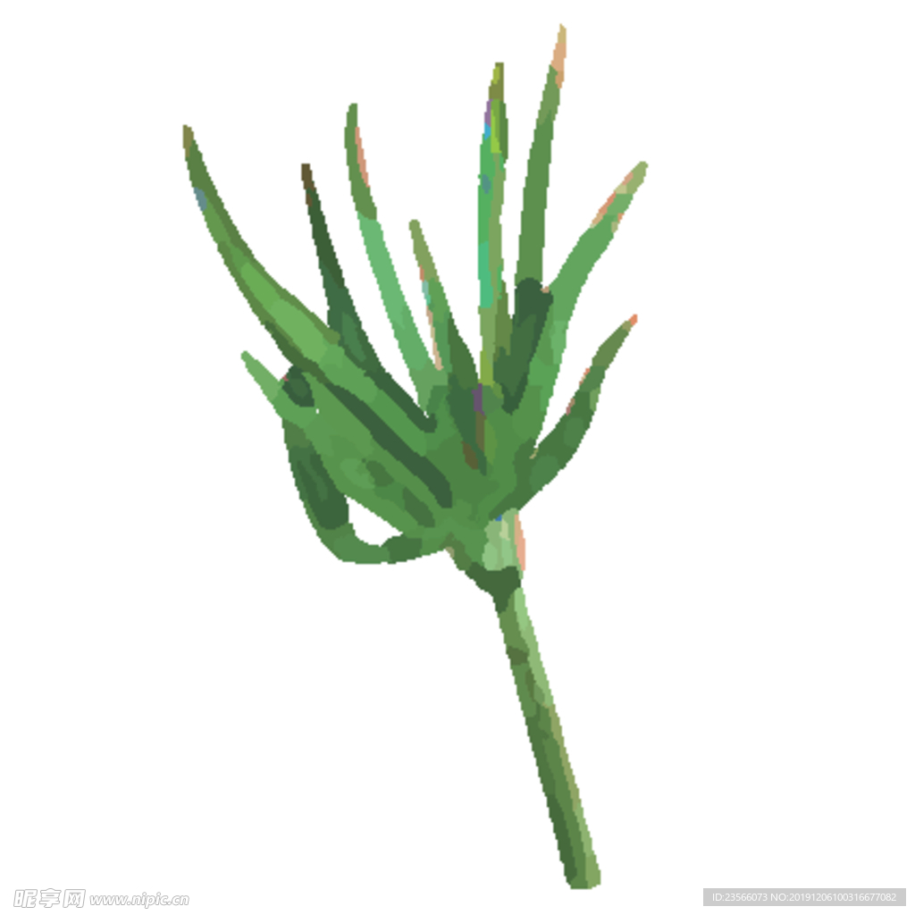 绿色水彩植物树叶