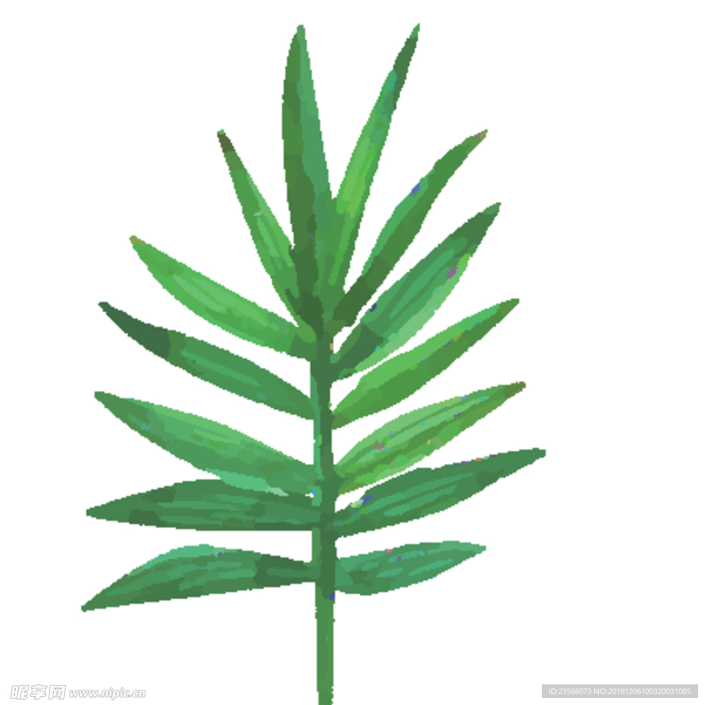 绿色水彩植物树叶