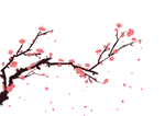 手绘梅花