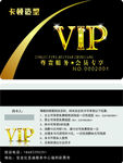VIP会员