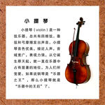 小提琴简介海报