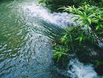锦里古街 流水 河水 绿植