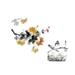 中式 工笔 花 鸟