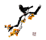 国画 工笔画 鸟 PNG图片