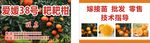 爱媛38号 耙耙柑