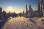 冬季阳光与雪景