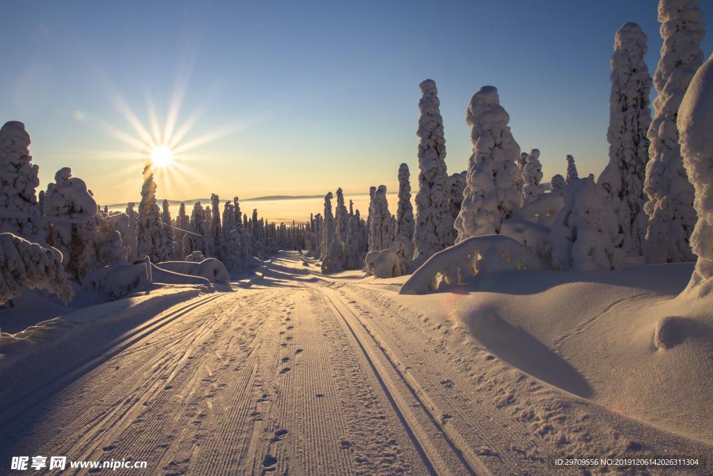 冬季阳光与雪景