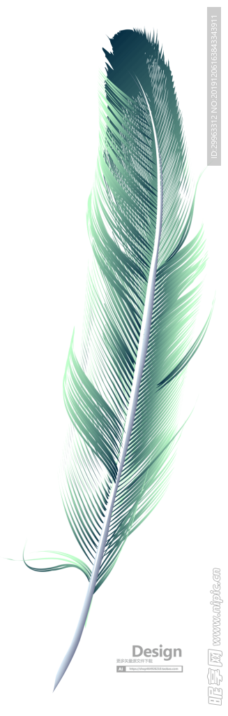 绿色羽毛透明底