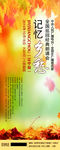 枫叶展架