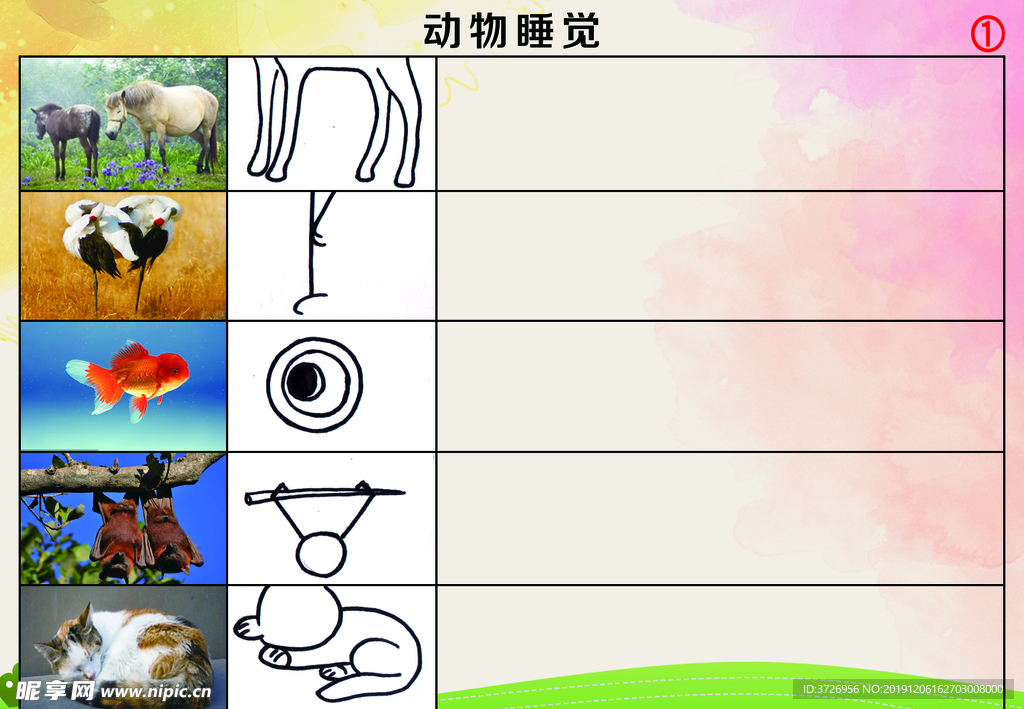 动物睡觉
