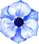 水彩花