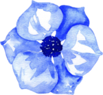 水彩花