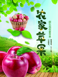 苹果海报