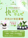 微景观绿植