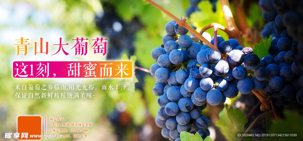 美味大葡萄