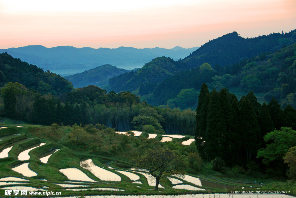 绿色梯田风景