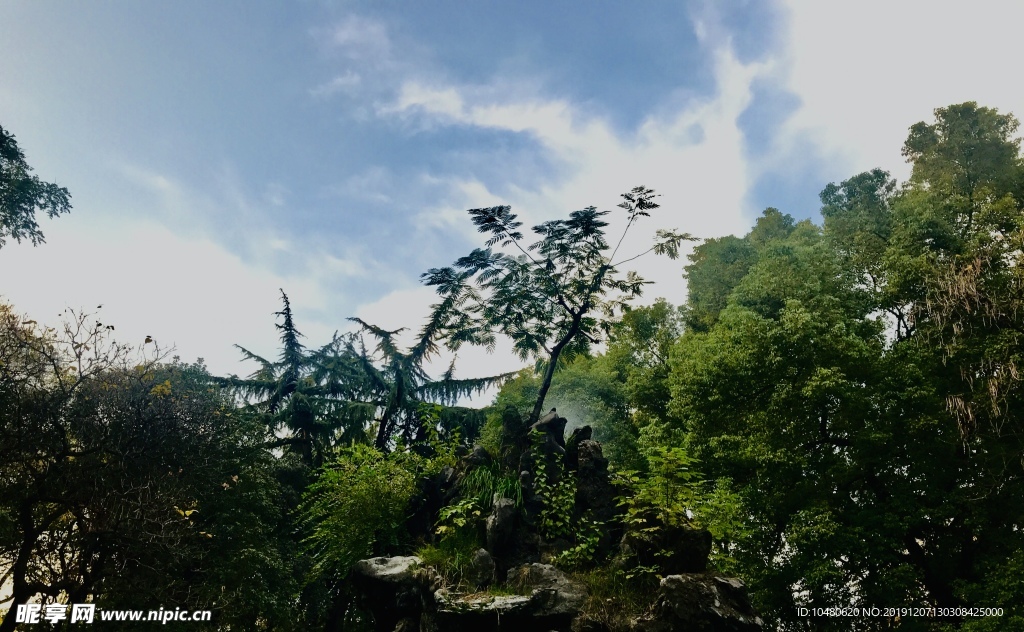 公园