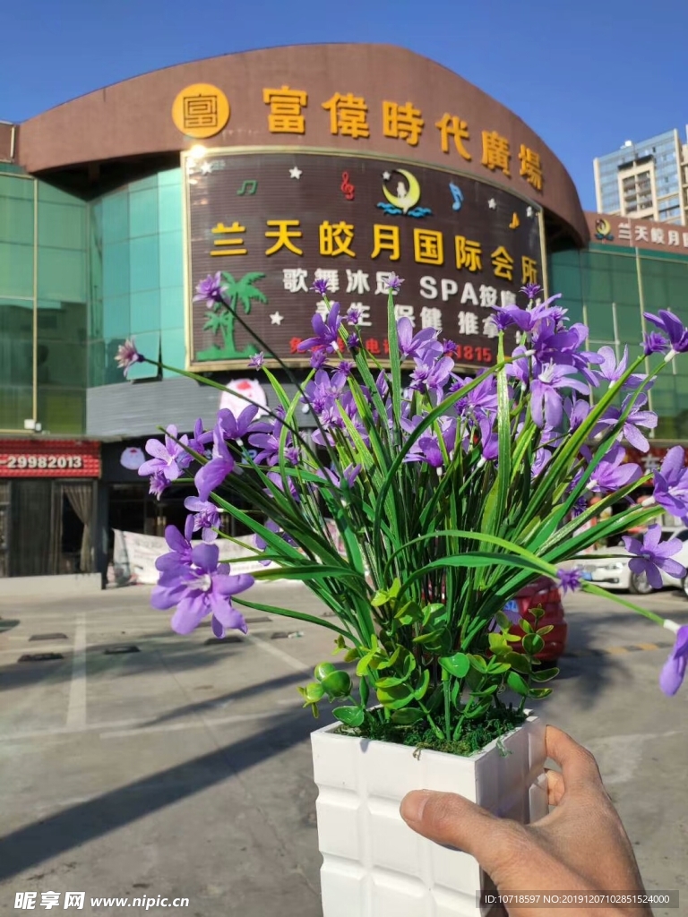 花卉 花束