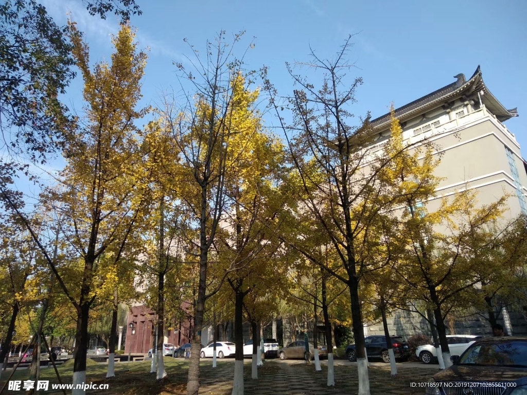 建筑风光