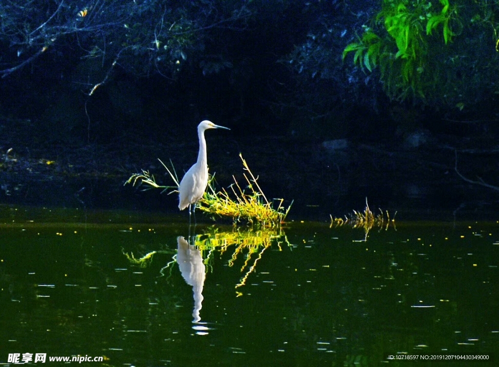 自然美景