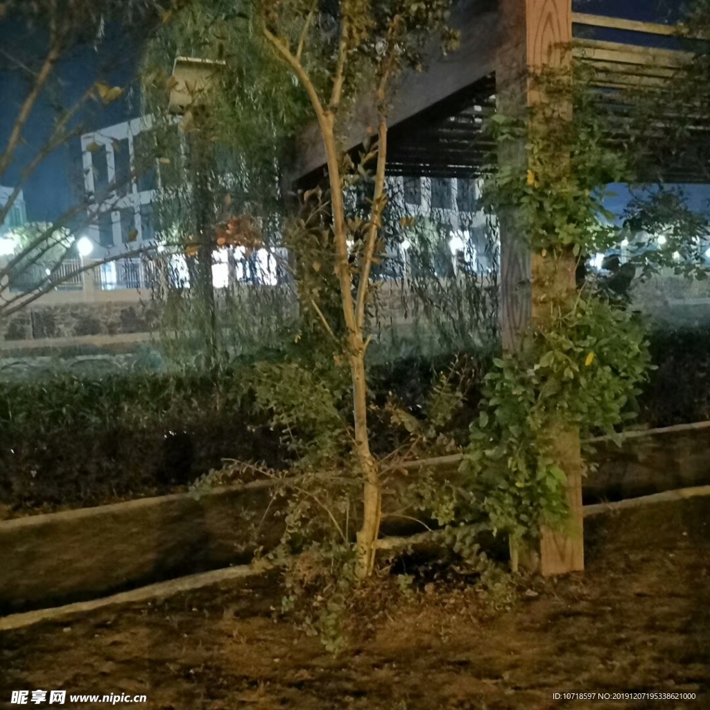 建筑景色