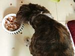 传统美食