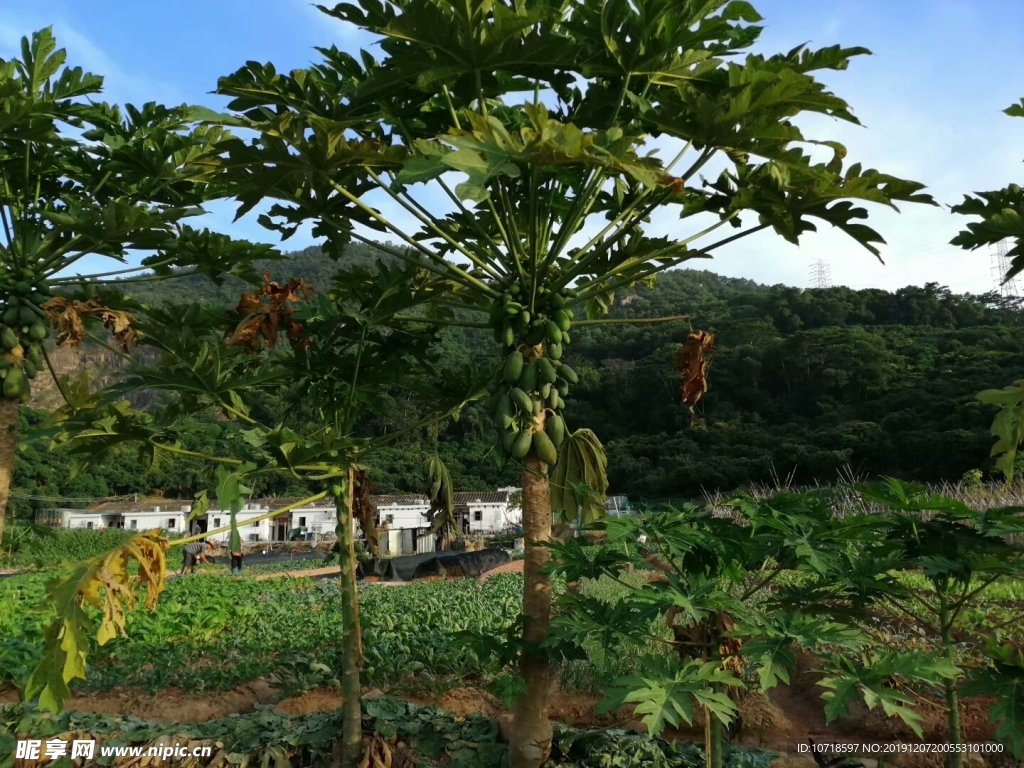 自然美景