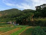 自然美景