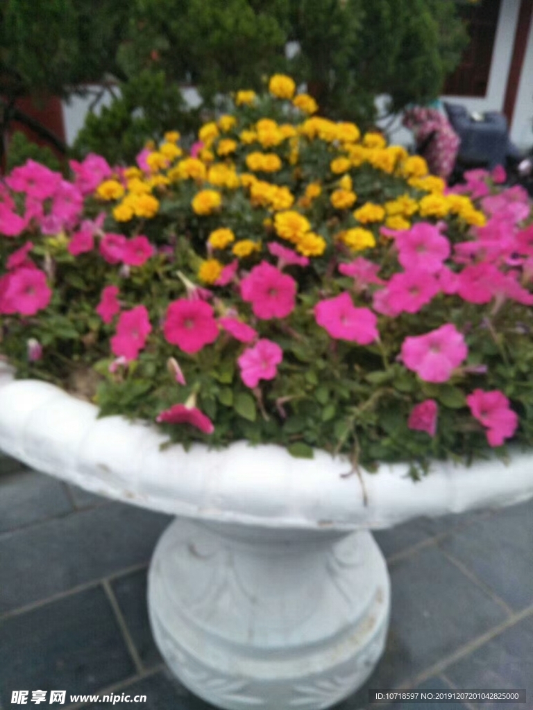 鲜花