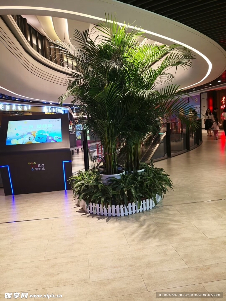 鲜花