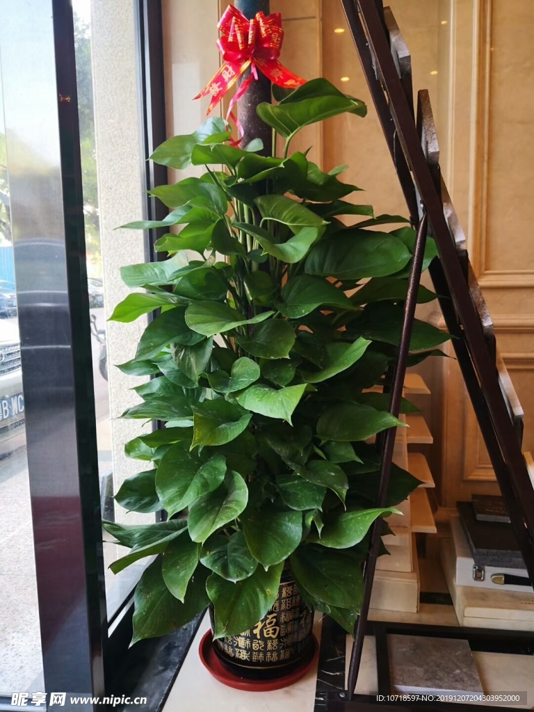 花卉