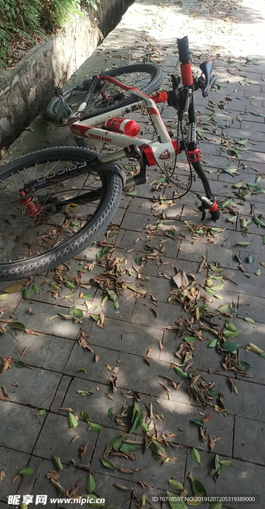 单车