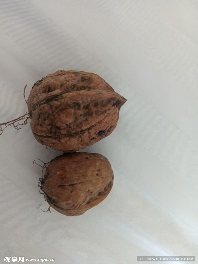 核桃