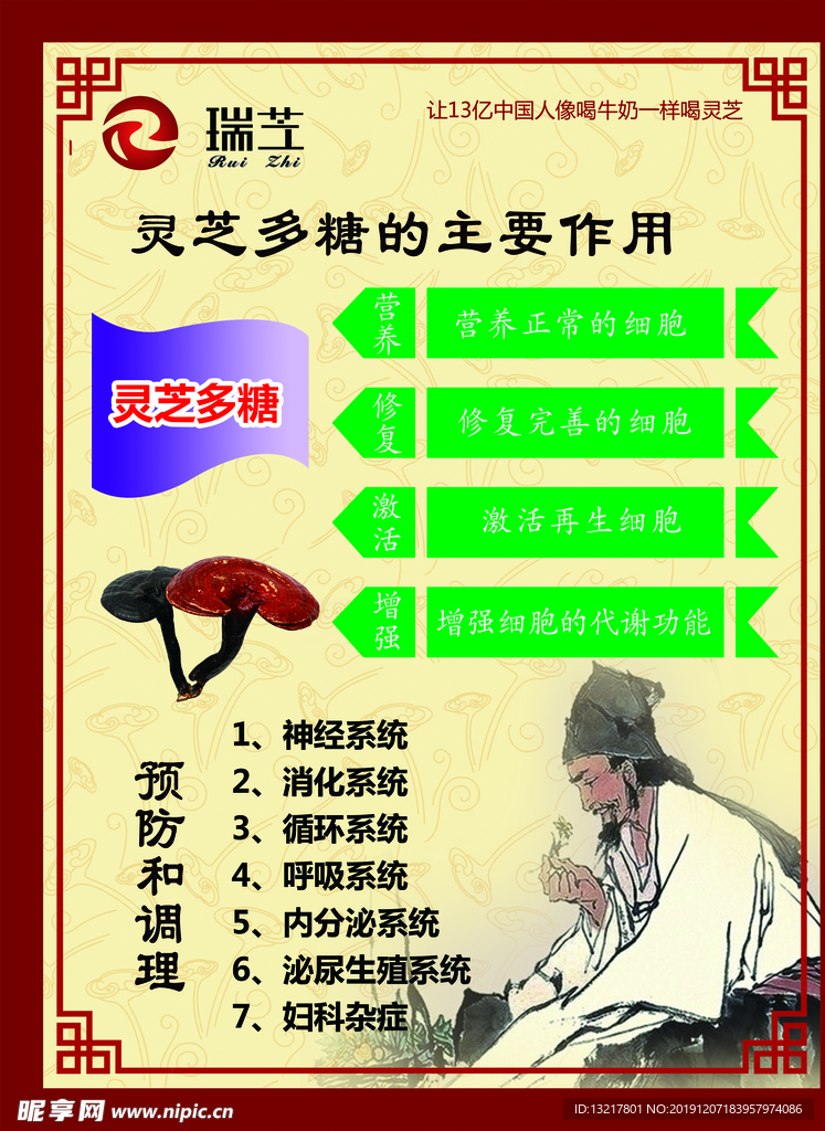 灵芝的主要作用