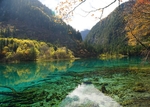 风景