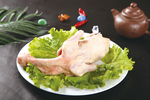 鸽子