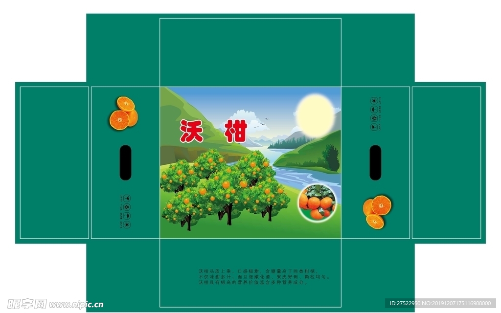 沃柑 芦柑平面图
