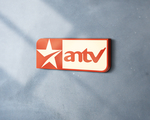 logo样机