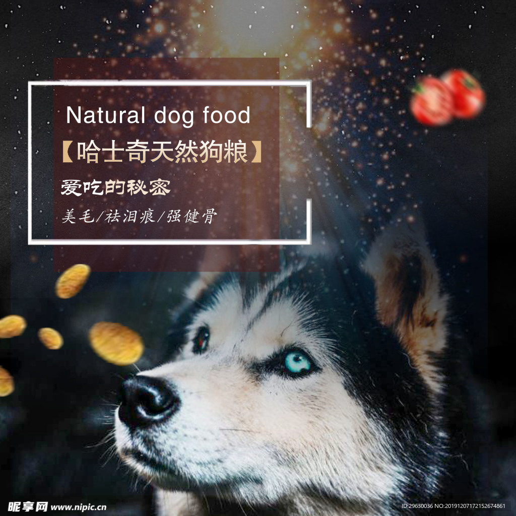 哈士奇狗粮