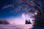 冬季雪景