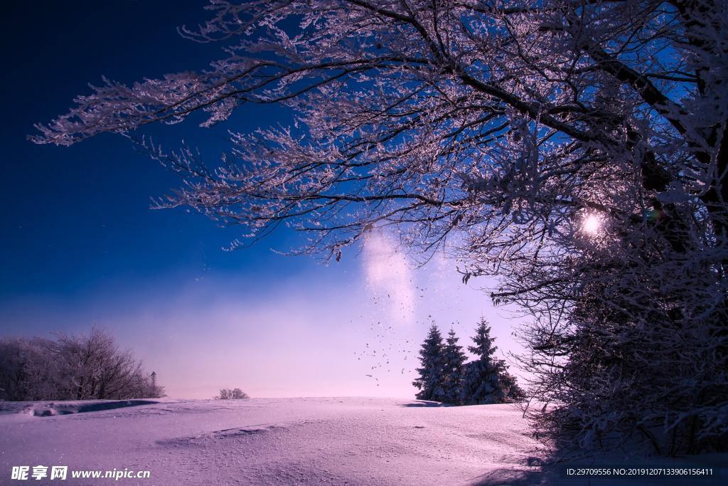 冬季雪景
