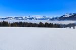 冬天晴朗雪景