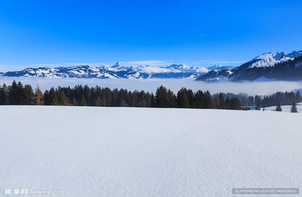 冬天晴朗雪景