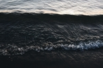 海